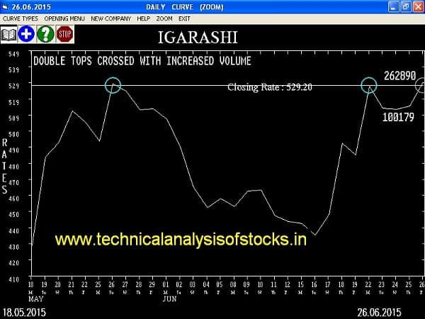 Buy Igarashi Motors India Limited