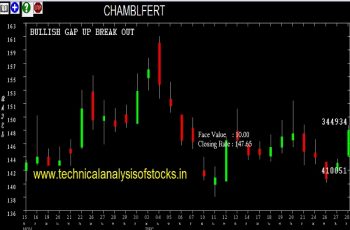 chamblfert share price