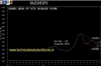 rajeshexpo share price