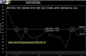 suryarosni share price