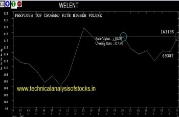 welent share price