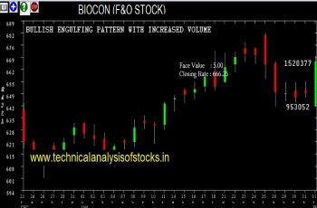 biocon share price