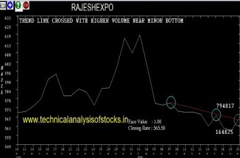 rajeshexpo share price