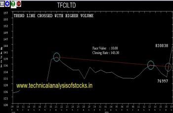 tfciltd share price