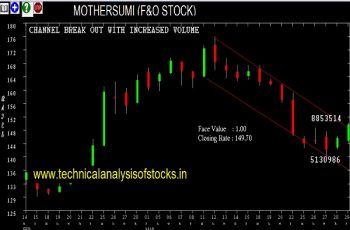 mothersumi share price