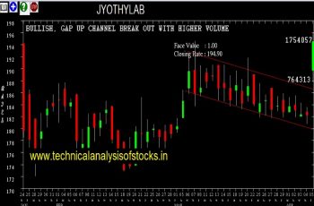 jyothylab share price