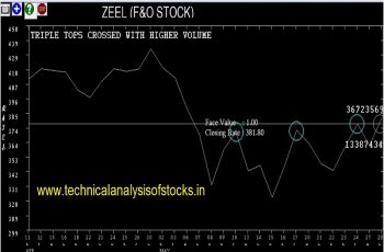 zeel share price