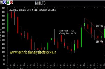 NIITLTD Share Price