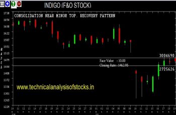 indigo share price