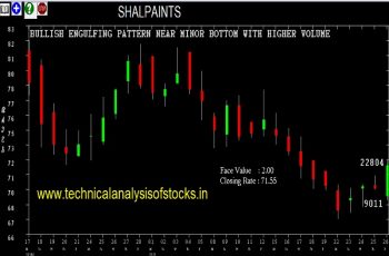 shalpaints share price