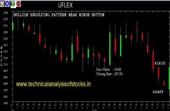 uflex share price