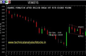 venkeys share price