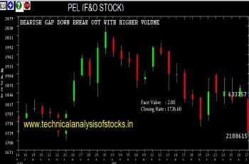 pel share price