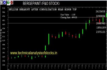 bergepaint share price