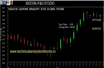 biocon share price