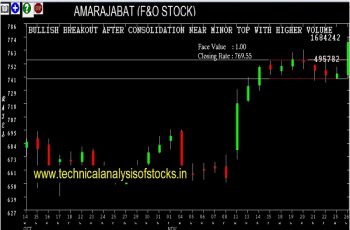 amarajabat share price history