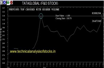 tataglobal share price history