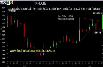 tinplate share price history