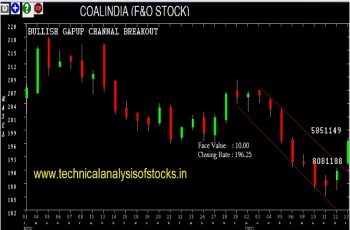 coalindia share price history