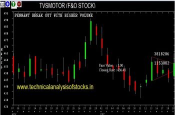 tvsmotor share price history