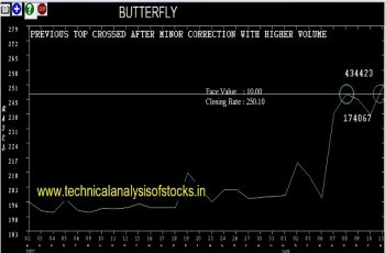 butterfly share price history