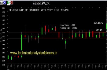 esselpack share price history