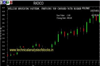 radico share price history