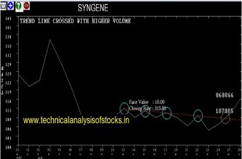 syngene share price history