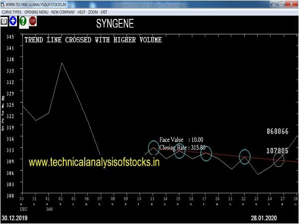 syngene share price history