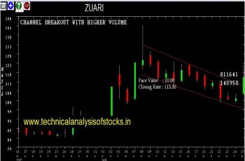 zuari share price history