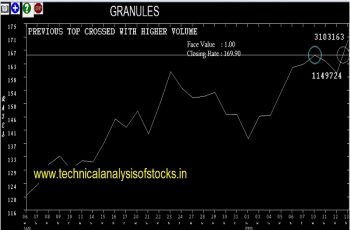 granules share price history