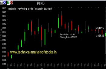 piind share price history