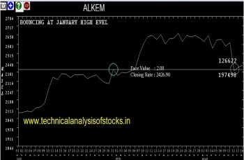 alkem share price history