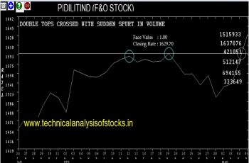 pidilitind share price history