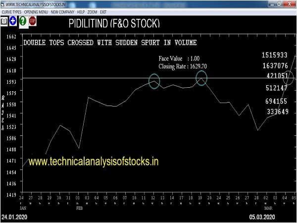 pidilitind share price history