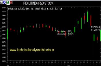 pidilitind share price history