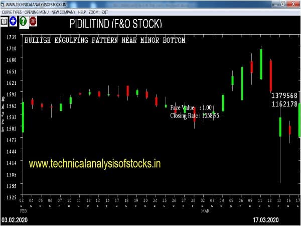 pidilitind share price history