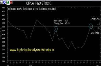 cipla share price history