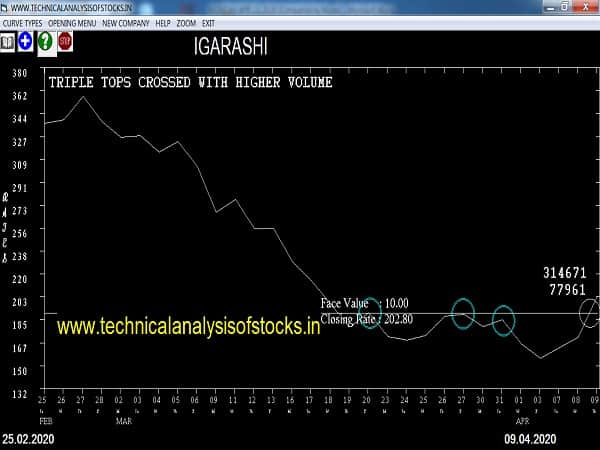 igarashi share price history