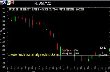 indiaglyco share price history