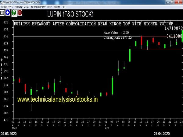 lupin share price history