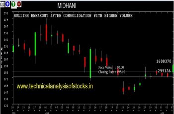 midhani share price history