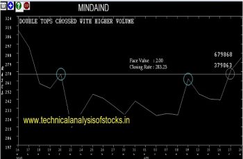 mindaind share price history