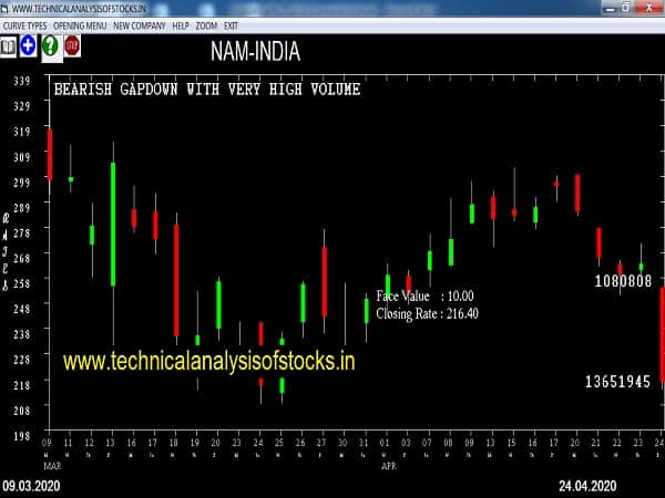 nam india share price history