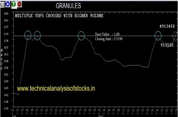 granules share price