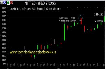 niittech share price