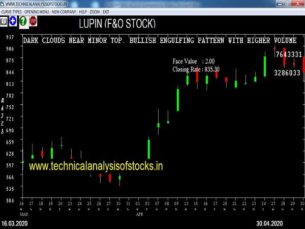 lupin share price history