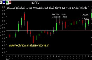 icicigi share price history