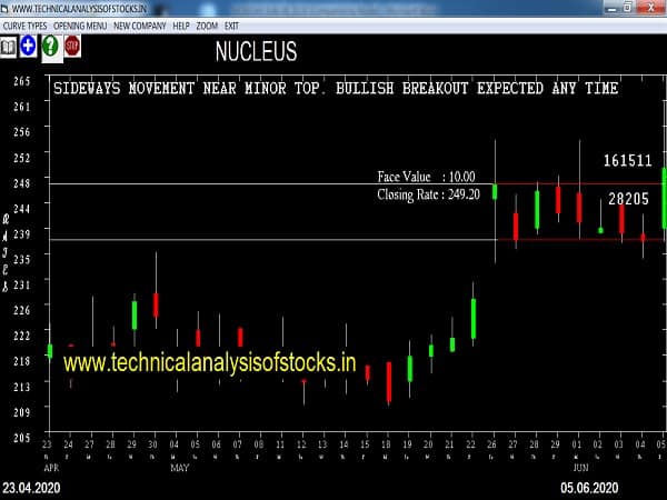 nucleus share price