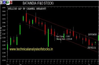 bataindia share price history